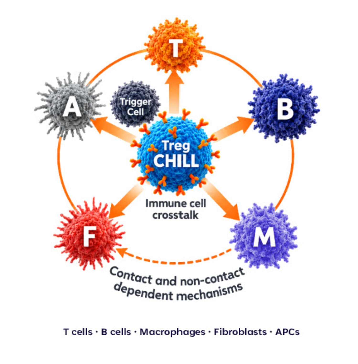 Treg chill crosstalk