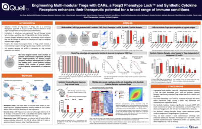 Engineering Multi-modular Tregs with CARs, a Foxp3 Phenotype Lock and Synthetic Cytokine Receptors enhances their therapeutic potential for a broad range of immune conditions